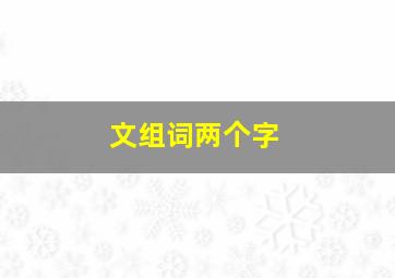 文组词两个字