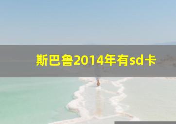 斯巴鲁2014年有sd卡