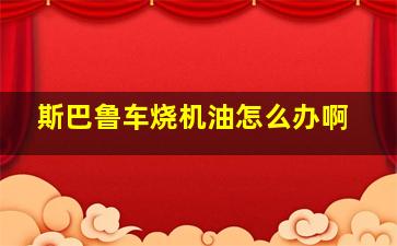 斯巴鲁车烧机油怎么办啊