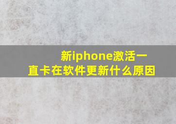 新iphone激活一直卡在软件更新什么原因