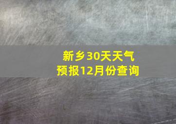 新乡30天天气预报12月份查询