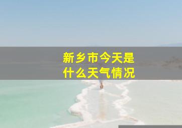 新乡市今天是什么天气情况