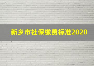 新乡市社保缴费标准2020