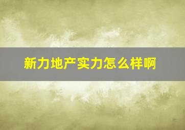 新力地产实力怎么样啊