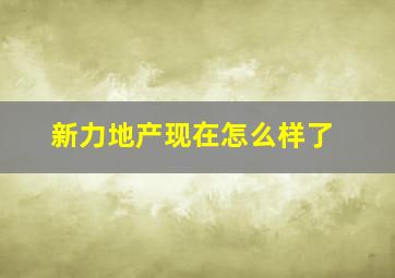 新力地产现在怎么样了