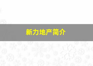 新力地产简介