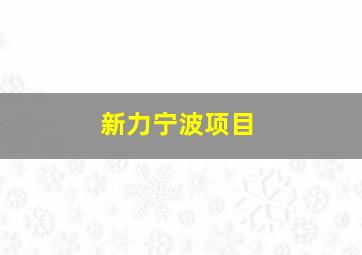 新力宁波项目