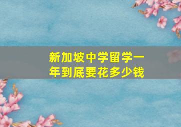 新加坡中学留学一年到底要花多少钱