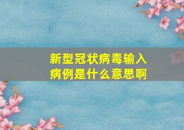 新型冠状病毒输入病例是什么意思啊