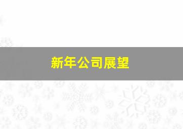 新年公司展望