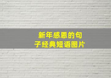 新年感恩的句子经典短语图片