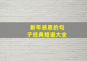 新年感恩的句子经典短语大全