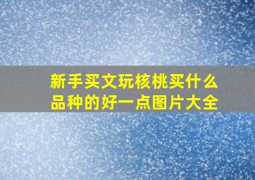 新手买文玩核桃买什么品种的好一点图片大全