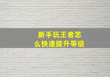 新手玩王者怎么快速提升等级