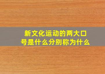 新文化运动的两大口号是什么分别称为什么