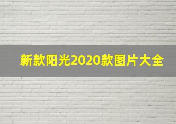 新款阳光2020款图片大全