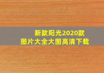 新款阳光2020款图片大全大图高清下载