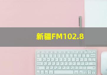 新疆FM102.8