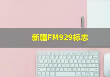 新疆FM929标志