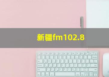 新疆fm102.8