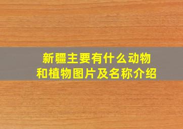 新疆主要有什么动物和植物图片及名称介绍