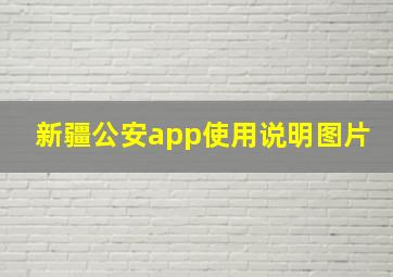 新疆公安app使用说明图片