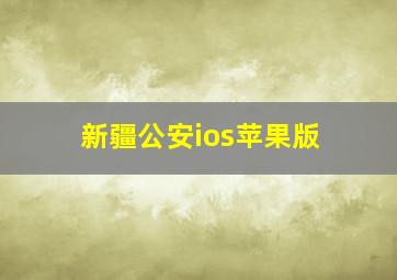 新疆公安ios苹果版