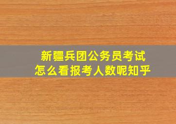 新疆兵团公务员考试怎么看报考人数呢知乎