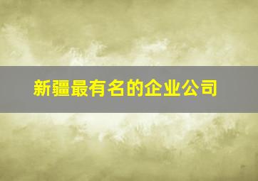 新疆最有名的企业公司