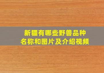 新疆有哪些野兽品种名称和图片及介绍视频