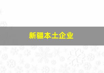 新疆本土企业