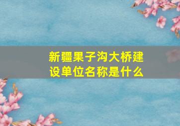 新疆果子沟大桥建设单位名称是什么