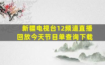 新疆电视台12频道直播回放今天节目单查询下载