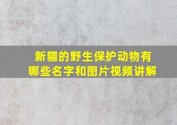 新疆的野生保护动物有哪些名字和图片视频讲解