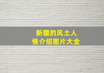 新疆的风土人情介绍图片大全