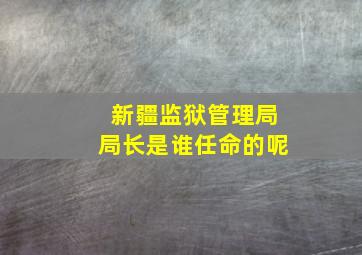 新疆监狱管理局局长是谁任命的呢