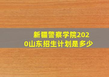 新疆警察学院2020山东招生计划是多少