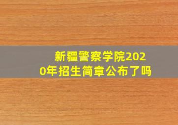 新疆警察学院2020年招生简章公布了吗