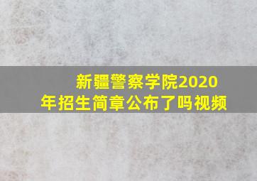 新疆警察学院2020年招生简章公布了吗视频