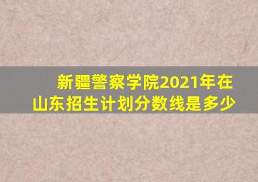 新疆警察学院2021年在山东招生计划分数线是多少