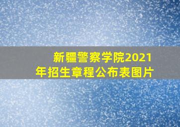 新疆警察学院2021年招生章程公布表图片