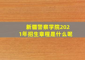 新疆警察学院2021年招生章程是什么呢