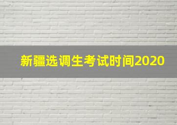 新疆选调生考试时间2020