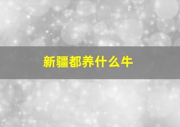 新疆都养什么牛