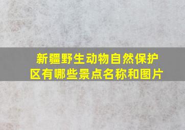 新疆野生动物自然保护区有哪些景点名称和图片