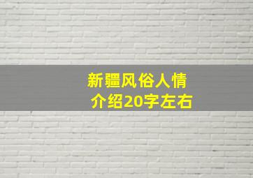 新疆风俗人情介绍20字左右