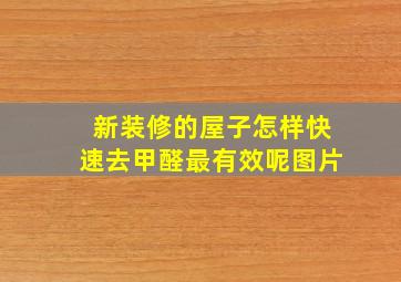 新装修的屋子怎样快速去甲醛最有效呢图片