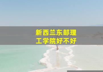 新西兰东部理工学院好不好