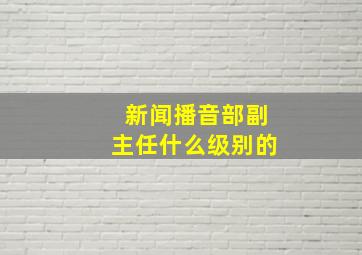 新闻播音部副主任什么级别的