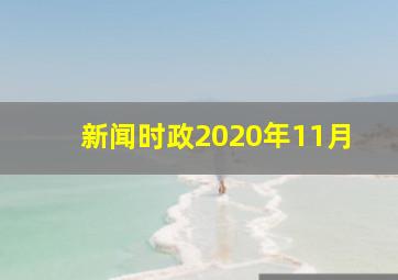 新闻时政2020年11月